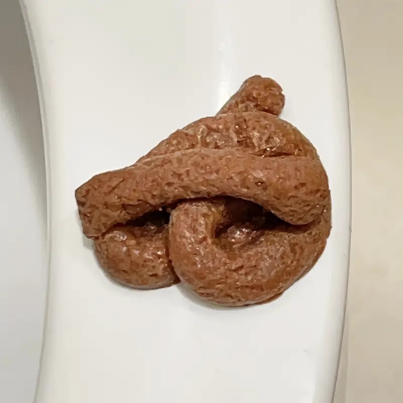 Реалистичная плавающая игрушка – обзор и цена Fake Poop Gag Gift